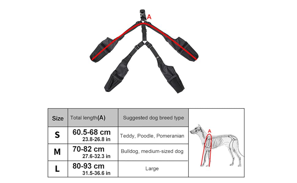 Paw Protect™ – Keep Your Dog's Paws Clean & Comfortable