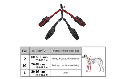 Paw Protect™ – Keep Your Dog's Paws Clean & Comfortable