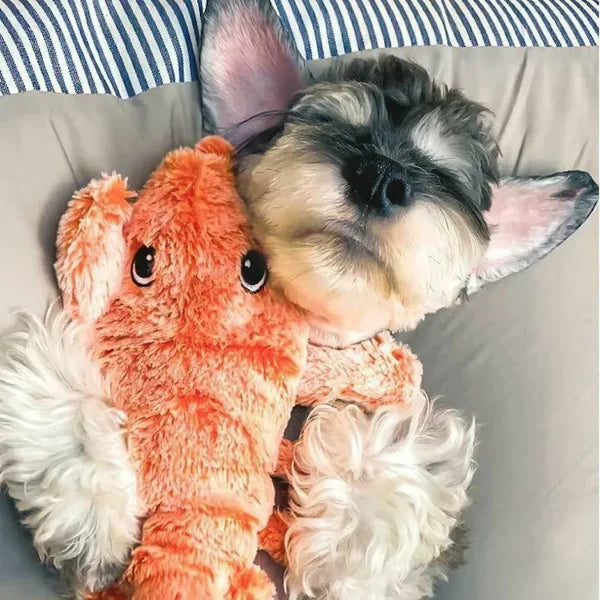 Jumpy Lobster Interactive Toy - Your Pet's New Best Friend