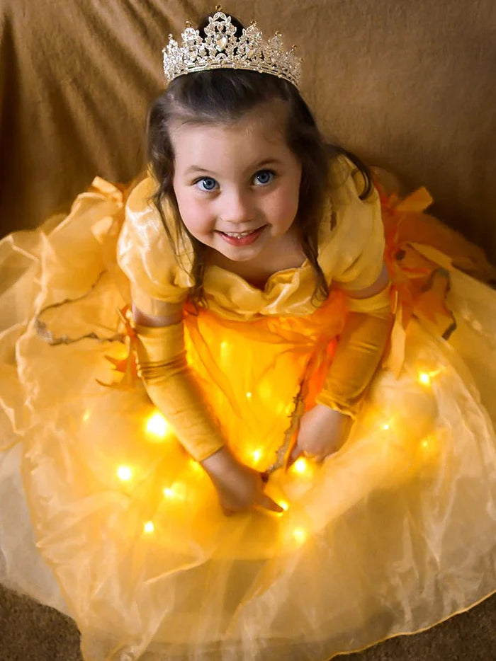 Light Up Princess Costume Dress