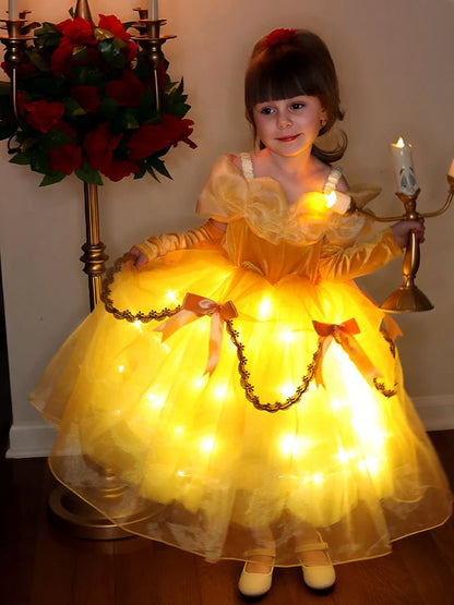 Light Up Princess Costume Dress